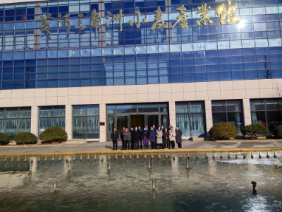 800cc全讯白菜网