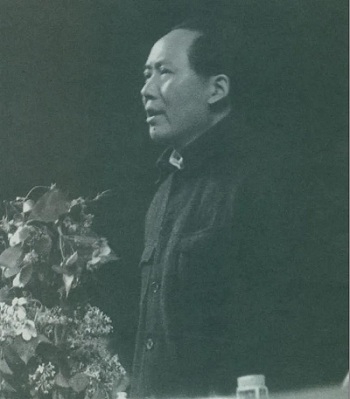 800cc全讯白菜网