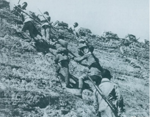 800cc全讯白菜网