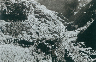 800cc全讯白菜网