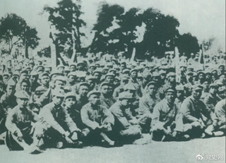 800cc全讯白菜网