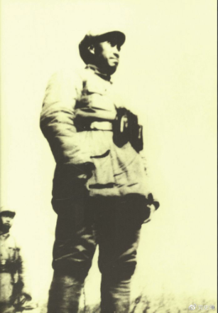 800cc全讯白菜网