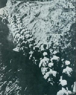 800cc全讯白菜网