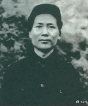 800cc全讯白菜网