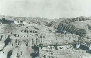 800cc全讯白菜网